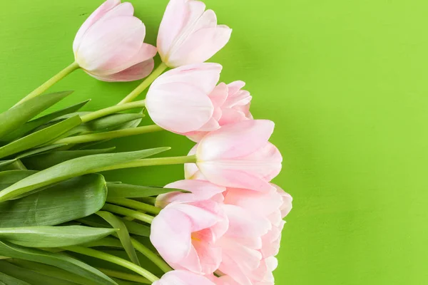 Vista de tulipanes rosa — Foto de Stock
