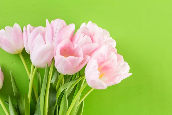 Vista de tulipanes rosa — Foto de Stock