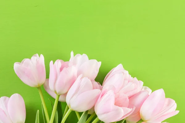 Pink tulips view — Stock Photo, Image