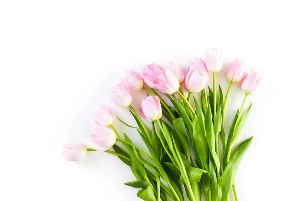 Vista tulipas rosa — Fotografia de Stock