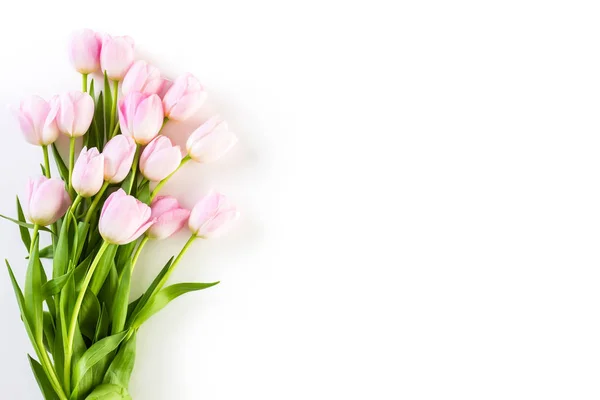 Рожеві тюльпани подання — стокове фото