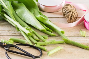 Pembe Lale görünümü