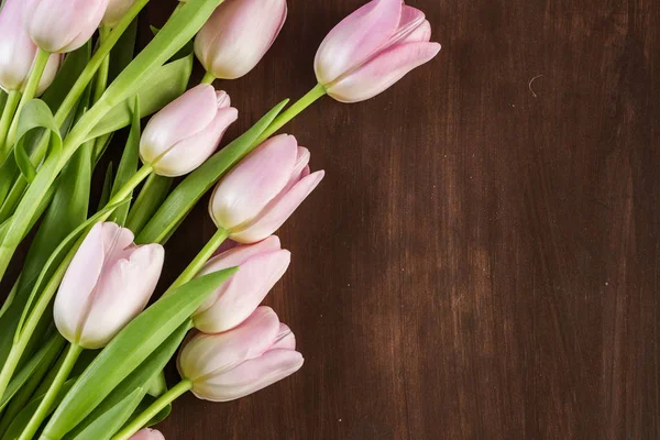 Bouquet of pink tulips — Stock Photo, Image