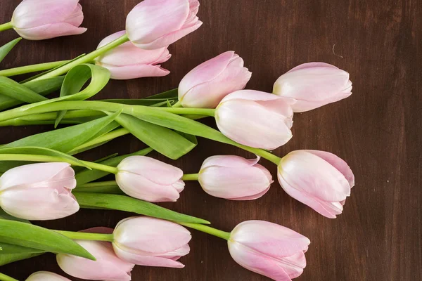 Bouquet of pink tulips — Stock Photo, Image