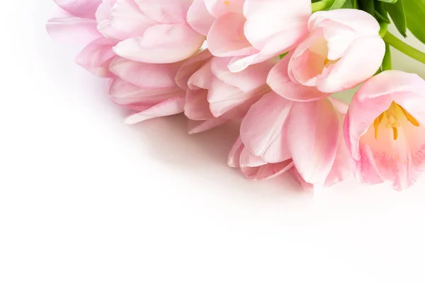 Pink tulips view — Stock Photo, Image