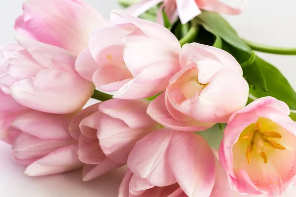 Pink tulips view — Stock Photo, Image