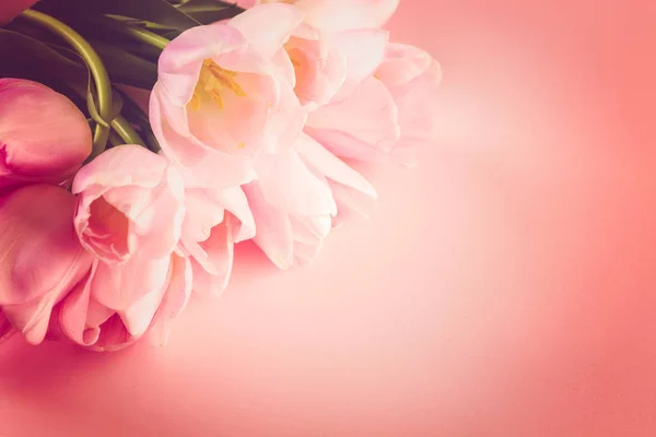 Lichte roze tulpen — Stockfoto