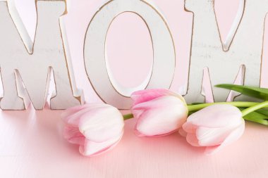 Pembe Lale görünümü