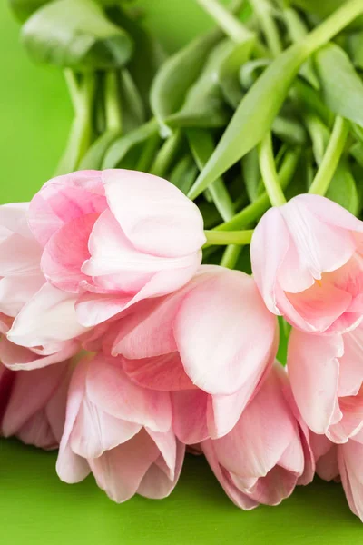 Tulipanes rosa claro — Foto de Stock