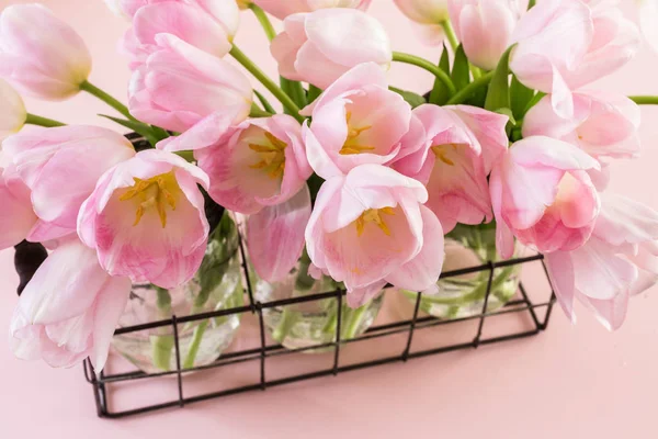 Light pink tulips — Stock Photo, Image