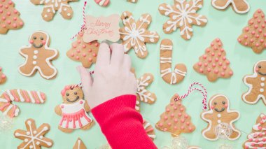 geleneksel zencefilli kurabiye