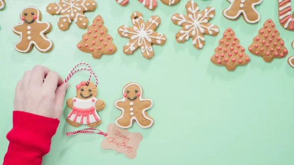 Biscoitos de gengibre tradicionais — Fotografia de Stock