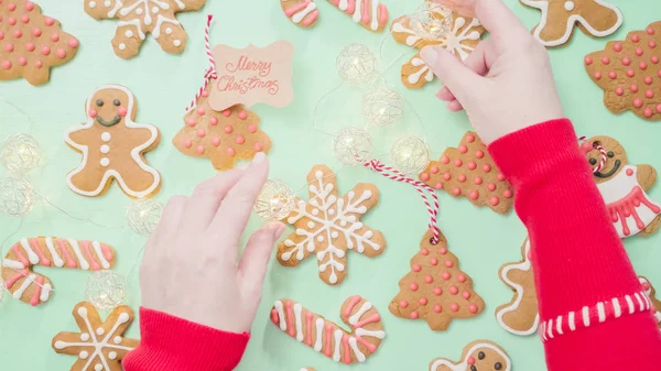 Biscoitos de gengibre tradicionais — Fotografia de Stock