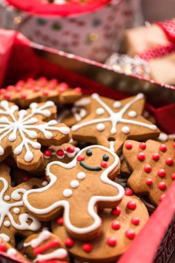 geleneksel zencefilli kurabiye