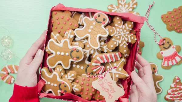 Biscoitos de gengibre tradicionais — Fotografia de Stock