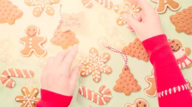 geleneksel zencefilli kurabiye