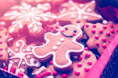 Zencefilli kurabiyeler yakın çekim için.