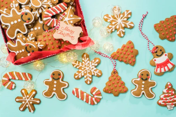 Biscoitos de gengibre tradicionais — Fotografia de Stock