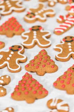 Zencefilli kurabiye yapma 