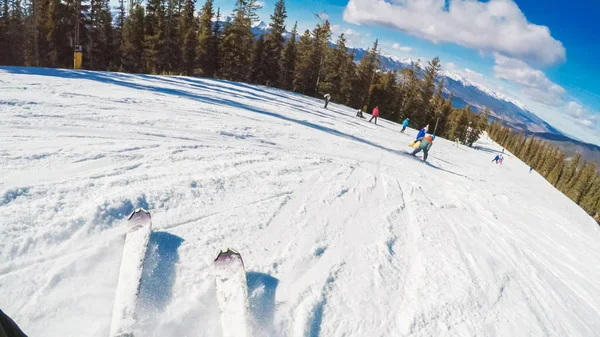 Esquí alpino vista — Foto de Stock