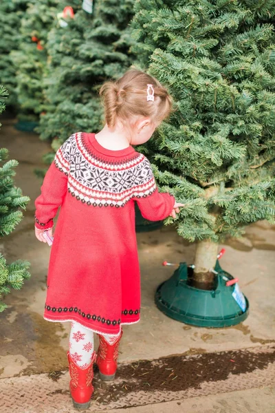 Liten Flicka Julen Träd Gård — Stockfoto