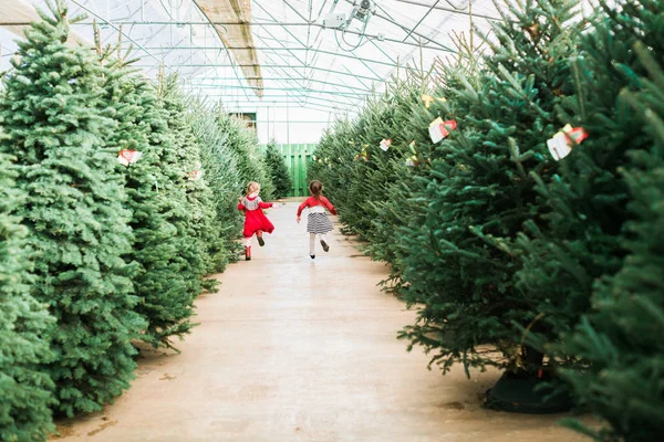 Little Girl Christmas Tree Farm — Stock Photo, Image