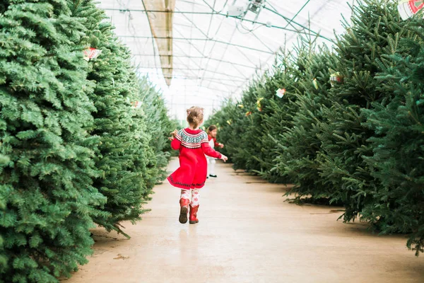 Menina Fazenda Árvore Natal — Fotografia de Stock