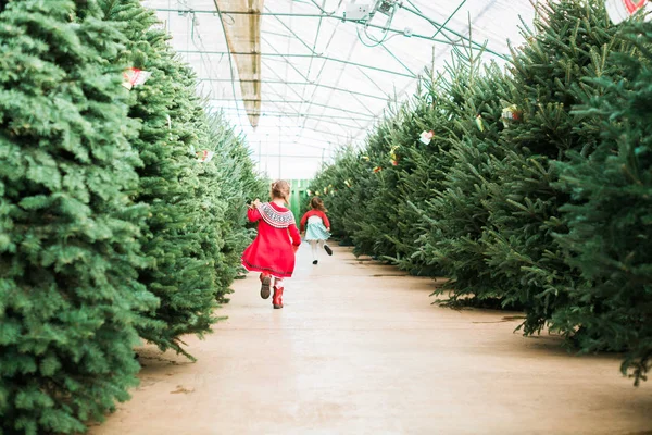 Dziewczynka Christmas Tree Farm — Zdjęcie stockowe