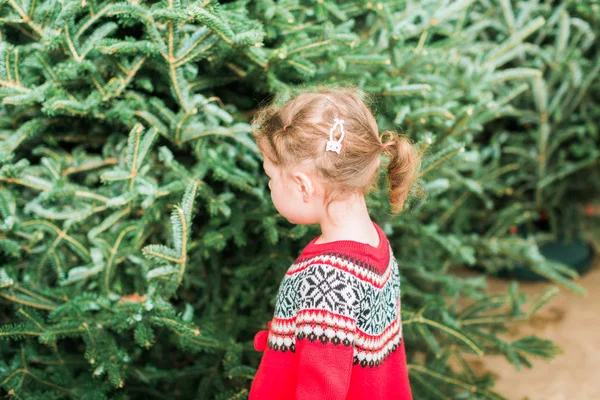Menina Fazenda Árvore Natal — Fotografia de Stock