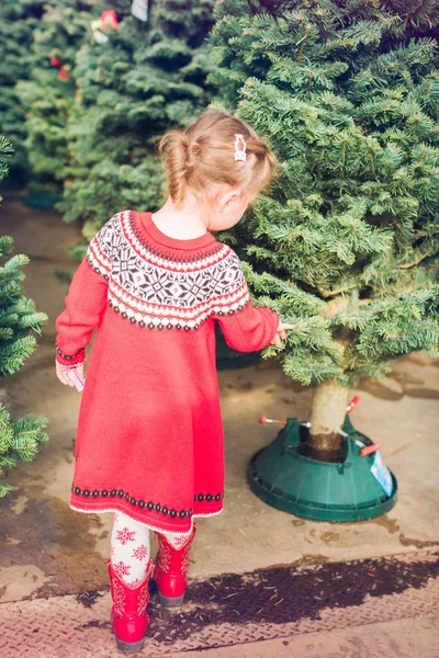 Little Girl Christmas Tree Farm — Stock Photo, Image