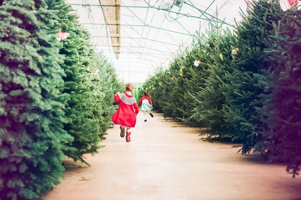 Menina Fazenda Árvore Natal — Fotografia de Stock