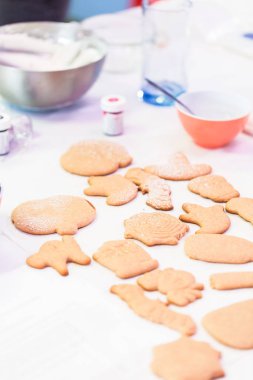 Cadılar Bayramı tanımlama bilgilerini görüntüleme