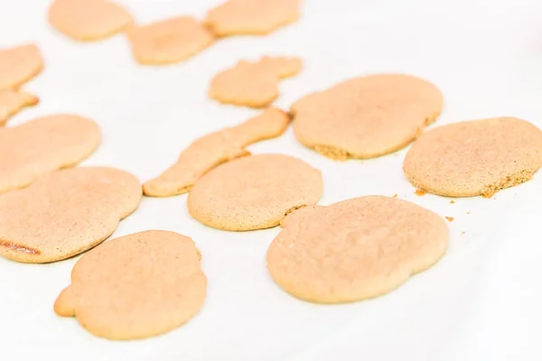 Halloween cookies view — Stock Photo, Image