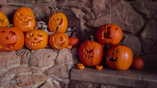 Carved pumpkins view — Stock Photo, Image