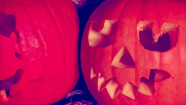 Carved pumpkins close up — Stock Photo, Image