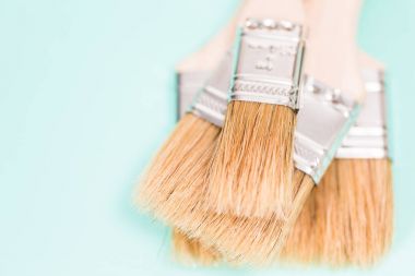 Boya fırçaları yakın çekim