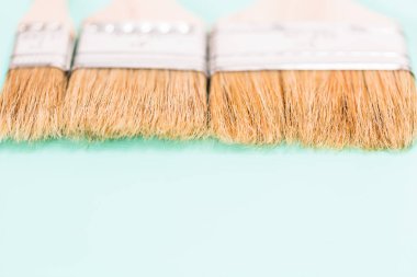 Boya fırçaları yakın çekim