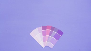 boya renk örnekleri