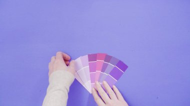 boya renk örnekleri