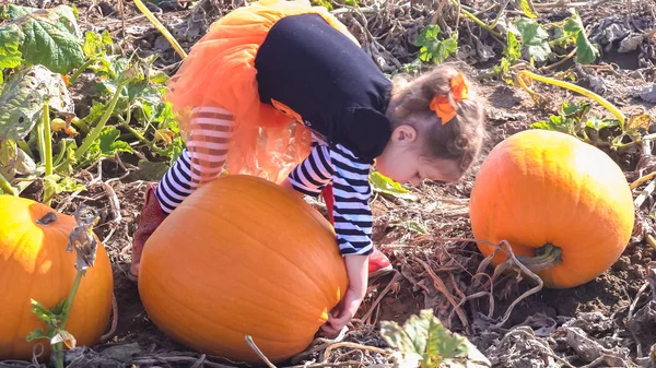 Barn girl på Pumpkin patch — Stockfoto