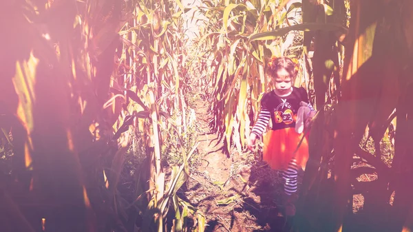 玉米迷宫中的蹒跚学步的女孩 — 图库照片