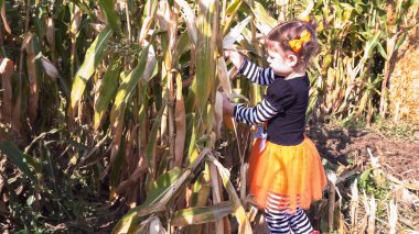 Mısır labirentine yürümeye başlayan çocuk kız