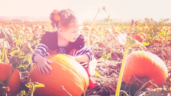 Gadis pengirim pesan di Pumpkin Patch — Stok Foto