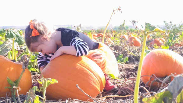 Barn girl på Pumpkin patch — Stockfoto