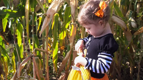 Маленькая девочка в кукурузном лабиринте — стоковое фото