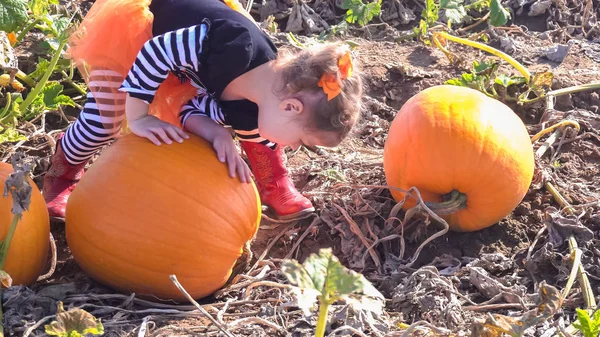 Barn girl på Pumpkin patch — Stockfoto