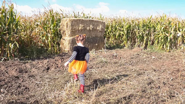 玉米迷宫中的蹒跚学步的女孩 — 图库照片