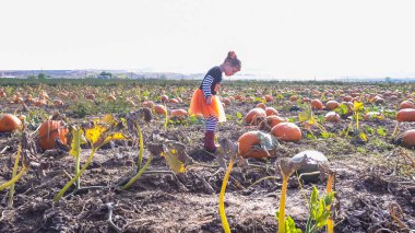 Kabak yama yürümeye başlayan çocuk kız