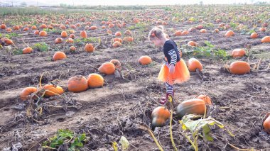 Kabak yama yürümeye başlayan çocuk kız