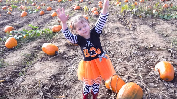 Barn girl på Pumpkin patch — Stockfoto